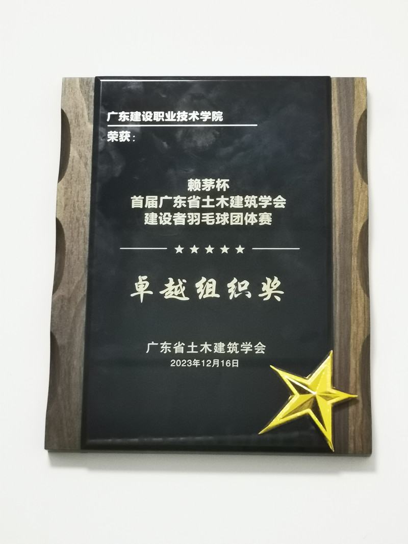 我校代表隊榮獲卓越組織獎.jpg