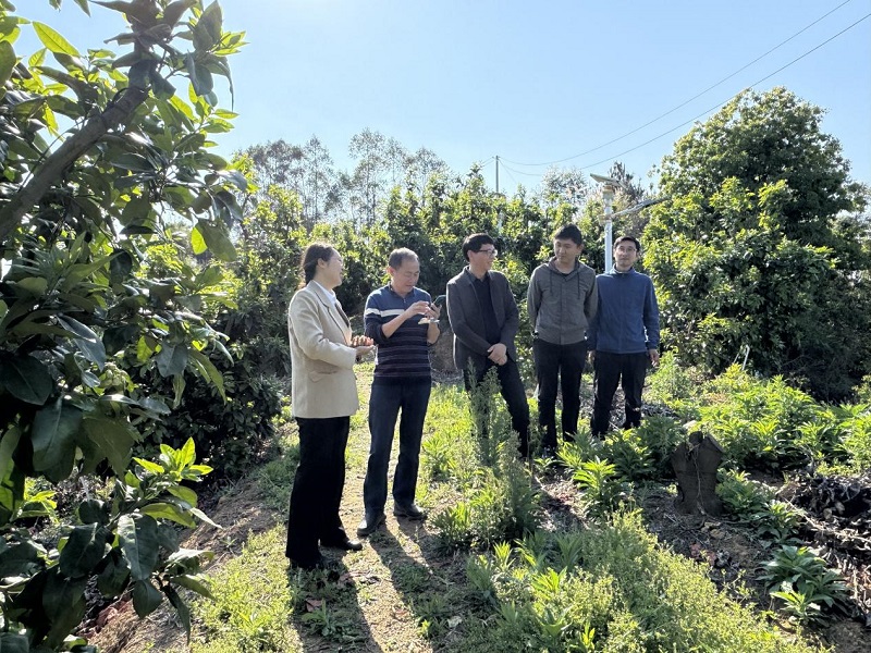 1.調(diào)研組實(shí)地考察了解智慧農(nóng)業(yè)項(xiàng)目推進(jìn)和運(yùn)用情況.jpg